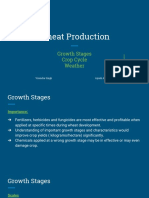 Wheat Production, Growth and Crop Cycles, Weather