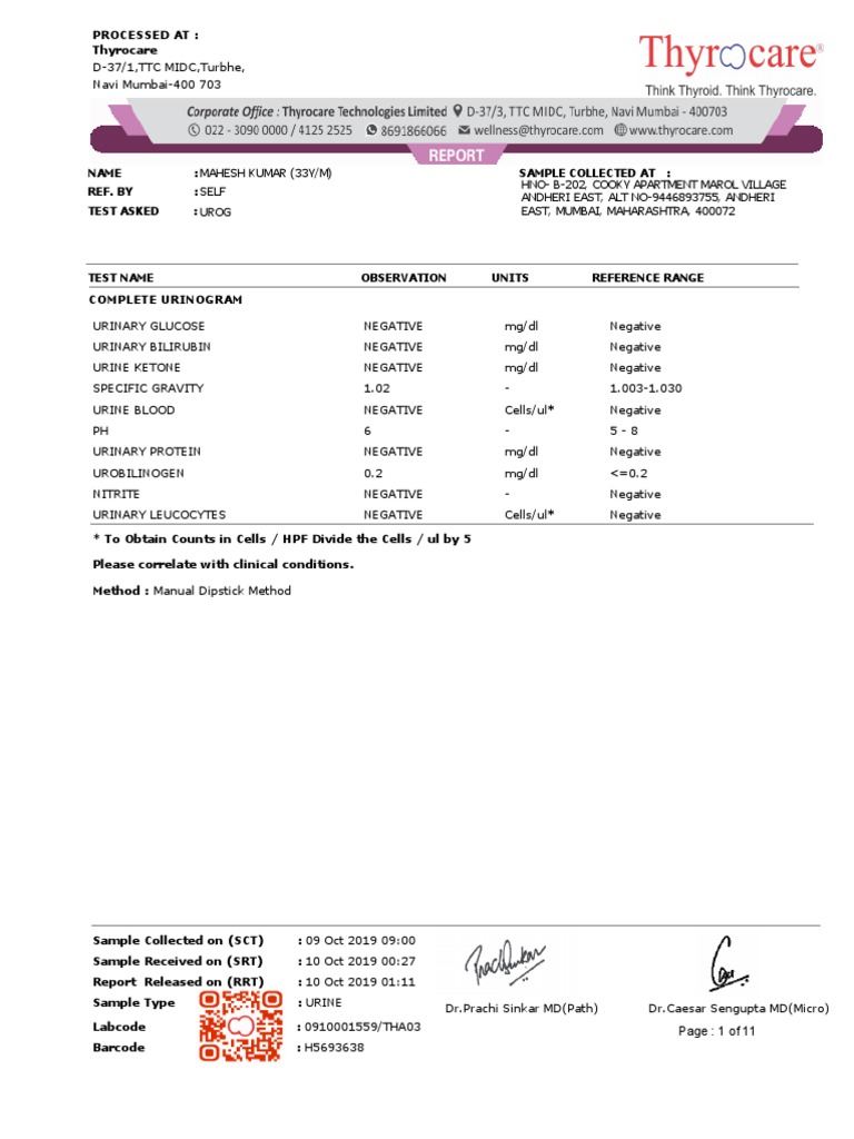 Thyrocare Complete Urinogram Report | PDF