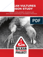 Balkan Vultures Poison Study Nov 2018
