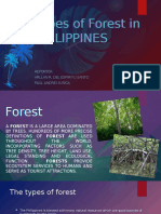 Types of Forest in