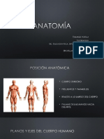 2 Clase ANATOMÍA