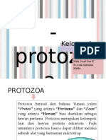 Protozoa 1