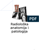 Radiološka Anatomija Skripta