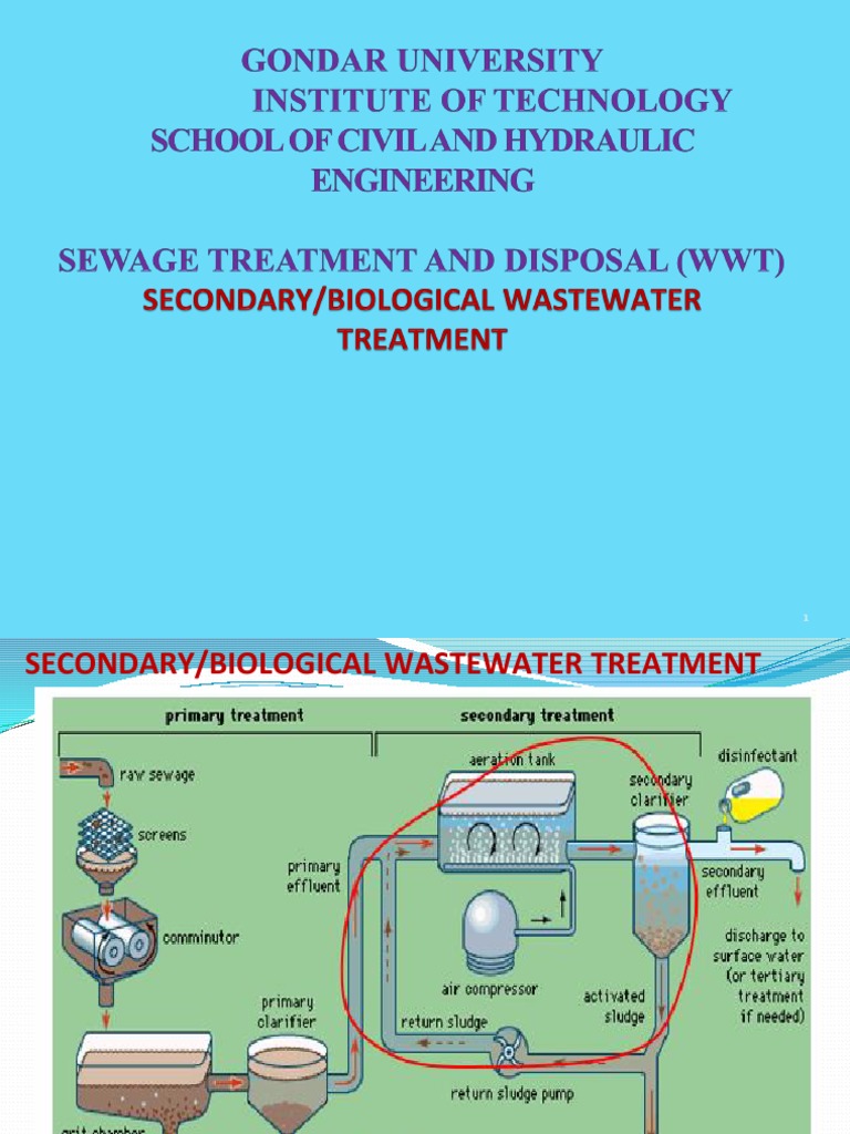 Chapter3 Part2 TF | PDF | Science & Mathematics