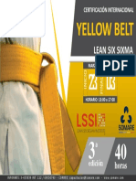 Yellow Belt PDF