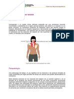 Sindrome_Tension_Cervical.pdf