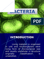 BACTERIA