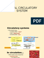 Circulatory System