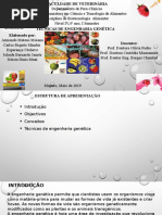Biotecnologia Alimentar