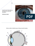 The Human Eye: Learn The Parts That Make Up The Human Eye and What Their Job Is