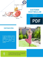 Sistema Vestibular