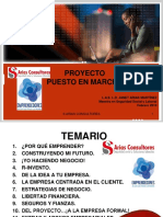 Temario Proyecto Puesto en Marcha