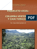 Esq. Axial - Columna y Caja Torácica.