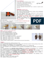 Krasnaya Panda PDF