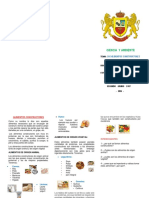 CIENCIA Y AMBIENTE Triptico de Alimentos Constructores