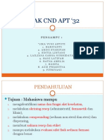 Prak CND Apt 32