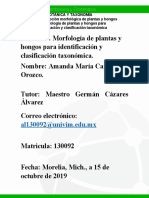 Amanda - Caro - Unidad - 3 - Morfología de Plantas y Hongos para Identificación y Clasificación Taxonómica