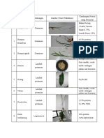 HASIL PRAKTIKUM Nutklin