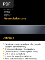 Neurocisticercose