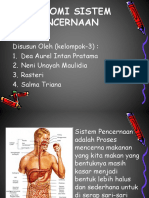 Ppt. Sistem Pencernaan