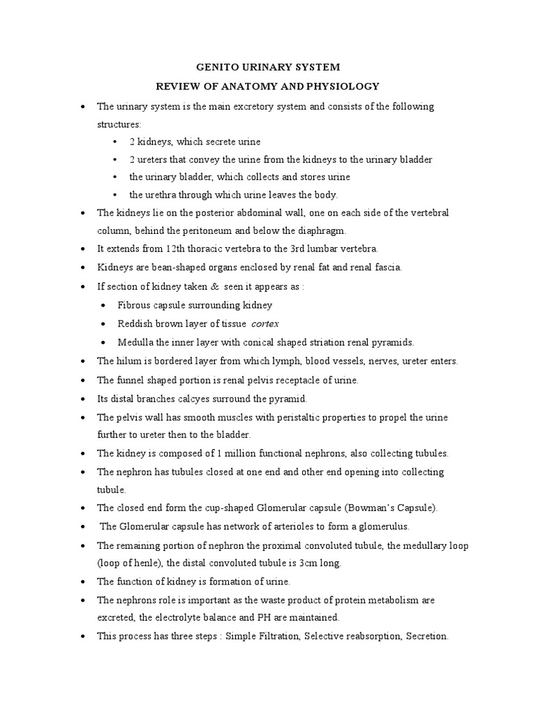 Overview of the Urinary System | PDF | Kidney | Urinary System