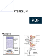 PTERIGIUM