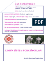 Limbik Sistemweb