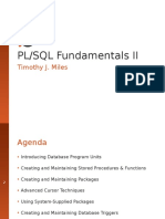 00 - PL-SQL Fund II - Intro-Outro-WIN-AMNC0DIVD6A