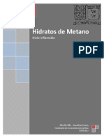 91314629-hidratos-de-metano-informe1-121120203237-phpapp02.pdf