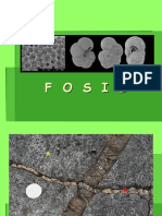 Pertemuan IV - Fossil