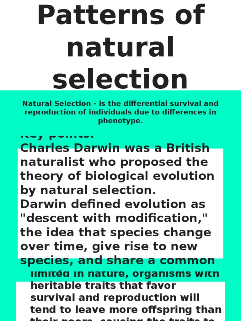 Natural Selection by Charles Darwin | PDF | Natural Selection | Evolution