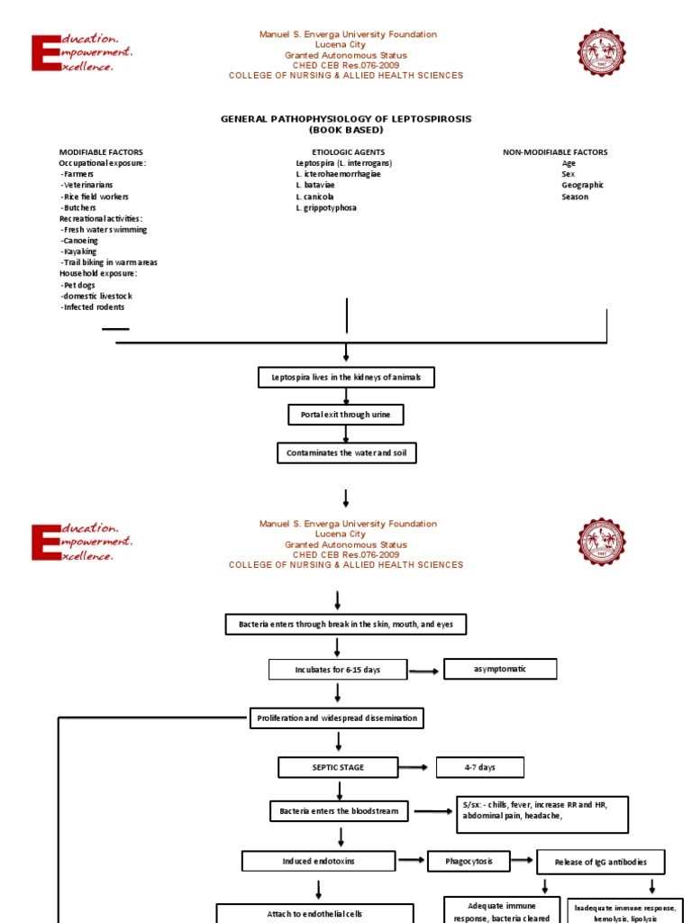GENERAL-PATHOPHYSIOLOGY-OF-LEPTOSPIROSIS-1 (AutoRecovered) | PDF ...