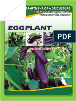 Eggplant.pdf