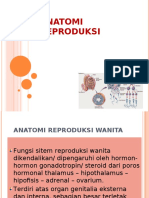 Anatomi Reproduksi