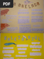 5ºA - Cartazes de Divulgação s