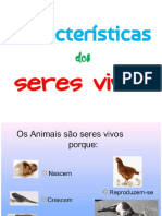 Características dos seres vivos