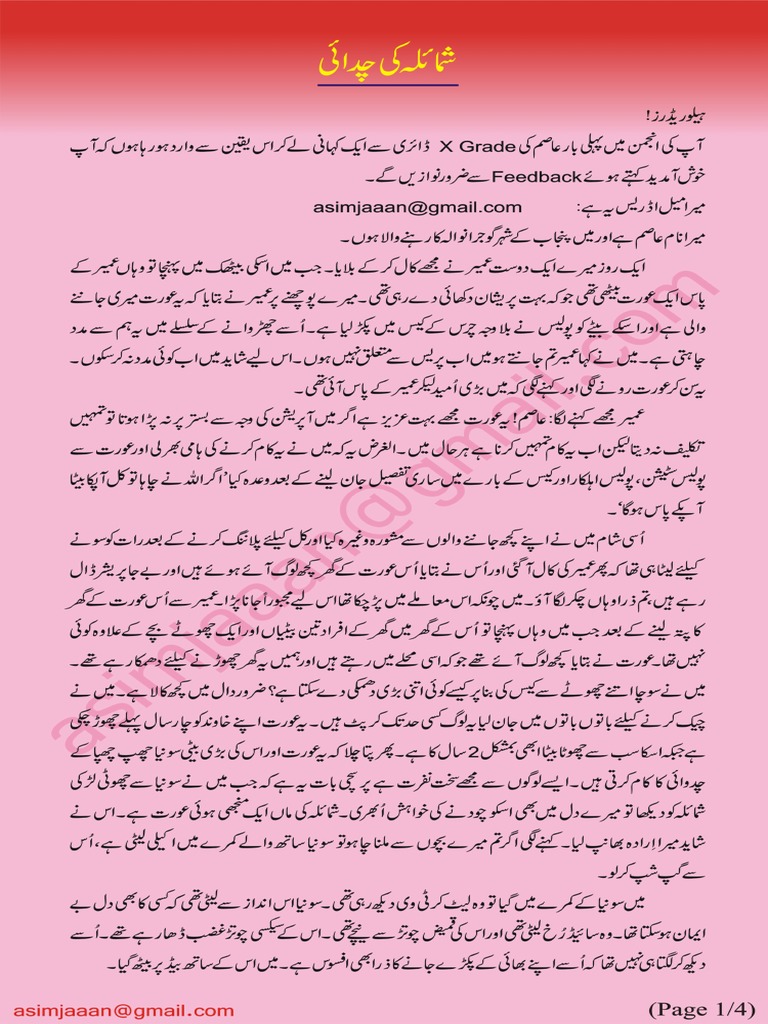 Didi Ki Urdu Meaning