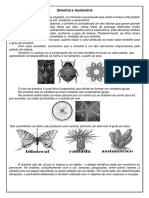 Simetria e Assimetria 8º Ano