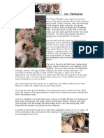 Lion.pdf