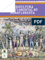 SISTEMA-AGROFLORESTAL.pdf