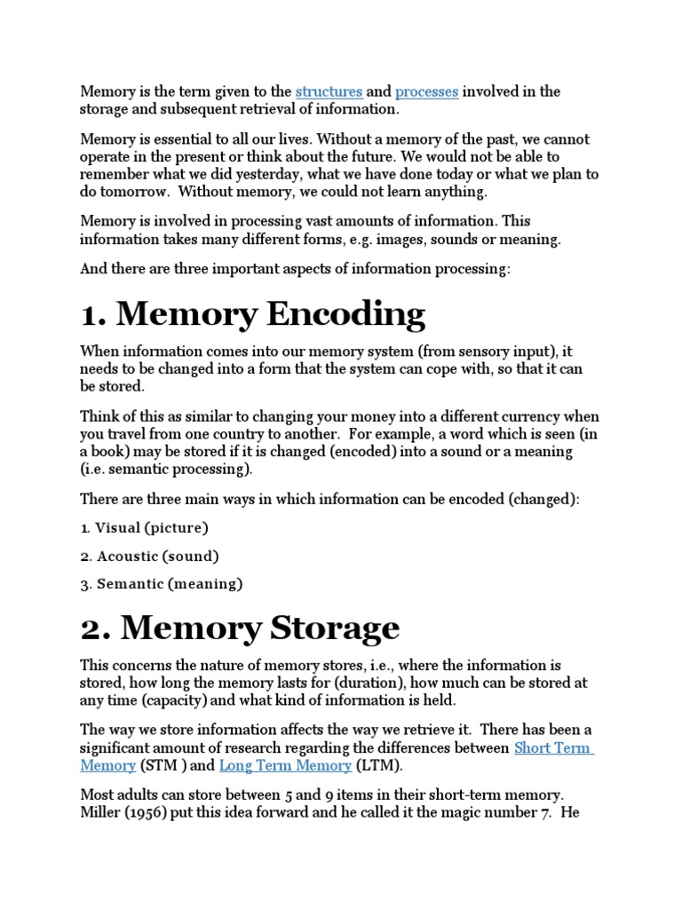 Memory Encoding, Storage and Retrieval: A Guide to How Information is ...