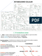 T 9 - Metabolismo-Celular PDF