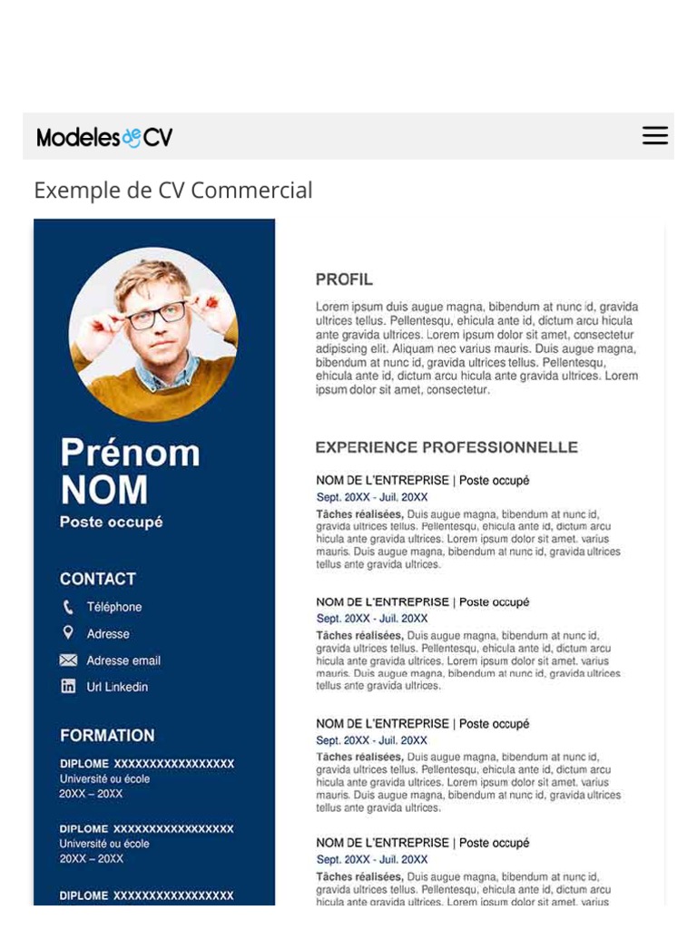 Exemple De Cv Commercial Gratuit A Telecharger Modele Cv Word Pdf Pdf Microsoft Word Informatique