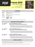 94 Modele CV Simple PDF