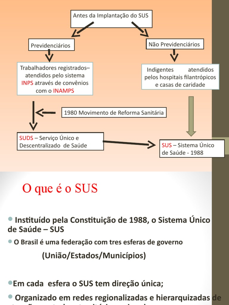 SUS e Sua Construcao | PDF | Sistema de saúde | Governo