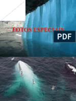 Fotos Especiais PDF