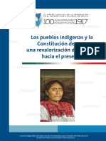 Los Pueblos Indigenas