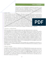 Cultura y Subculturas PDF