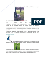 Ambiental Proyecto