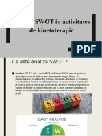 Analiza SWOT Bradea Florin